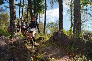 BIB: 
                            <button type="button" onclick="openModal(18950510)" class="btn btn-primary btn-sm float-right btn-popup" data-toggle="modal" data-target=".modal-high-quality">
                        <i class="fas fa-shopping-cart"></i> Add to Cart
                    </button>
                                            <button type="button" onclick="isThisMe(18950510, true)" class="btn btn-success btn-sm float-right btn-popup btn-isme hidden" data-toggle="tooltip" data-placement="bottom" title="นี่คือรูปของคุณใช่ไหม คลิกที่นี่เพื่อเอาเข้าอัลบั้ม">
                        <i class="fas fa-plus"></i> Add to album
                    </button>
                    <button type="button" onclick="isThisMe(18950510, false)" class="btn btn-warning btn-sm float-right btn-popup btn-isnotme hidden">
                        <i class="fas fa-ban"></i> Remove from album
                    </button>